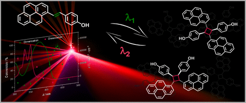 Visible Light [2 + 2] Cycloadditions for Reversible Polymer Ligation