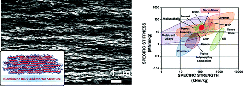 Large-Area, Lightweight and Thick Biomimetic Composites with Superior Material Properties via Fast,