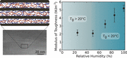 Hydration and Dynamic State of Nanoconfined Polymer Layers Govern Toughness in Nacre-mimetic Nanocom