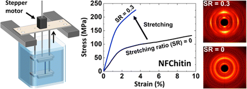 Mechanical Performance of Macrofibers of Cellulose and Chitin Nanofibrils Aligned by Wet-Stretching: