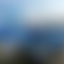 第43回 佐倉マラソン