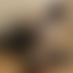 第2200回 10月第一例会
