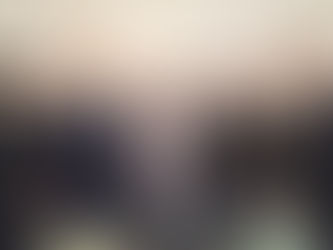 寺嶋哲生ガバナー公式訪問　合同例会