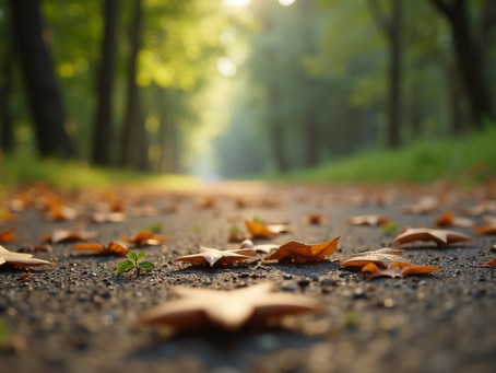 Frete Personalizado Blumenau: Benefícios e Aplicações