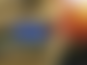 EU Army flag