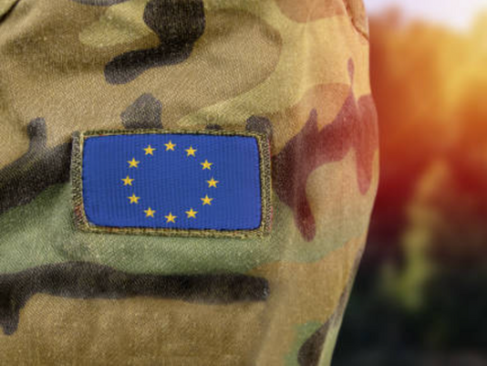 EU Army flag