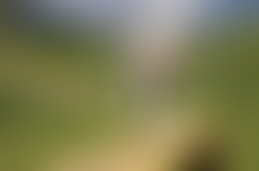 Positive reinforcement. What is it & why we use it. Part 1