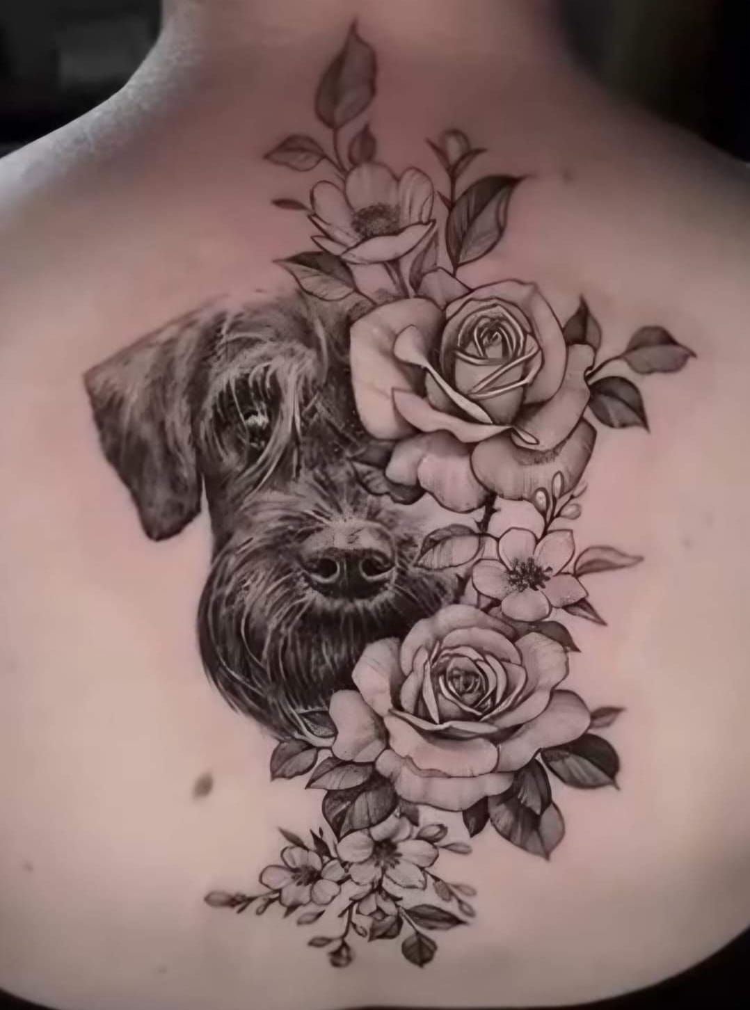 Tattoo - Ratenzahlung