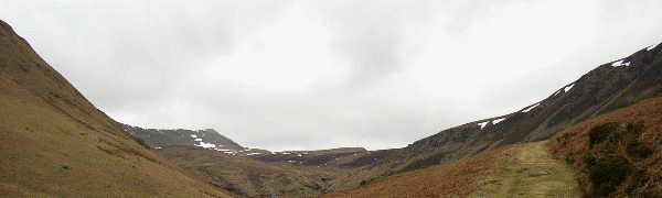 Cadair Berwyn