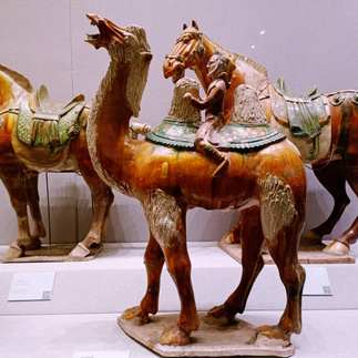 Shaanxi History Museum