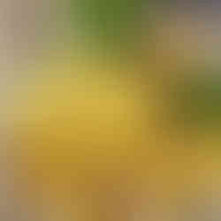 Seafood — 海鲜 🦀🦐🐟