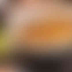 Seafood — 海鲜 🦀🦐🐟