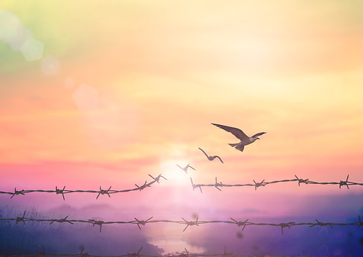 break cycle bird image.jpg