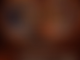 Pelletofen oder Kaminofen: Der große Vergleich für Hausbesitzer in Luxemburg