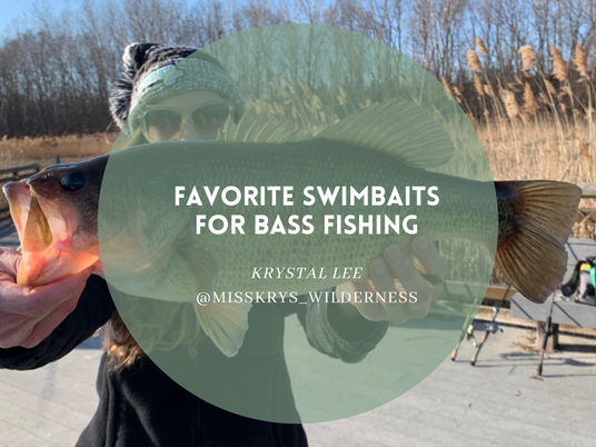 Favorite Swimbaits for Bass Fishing!
