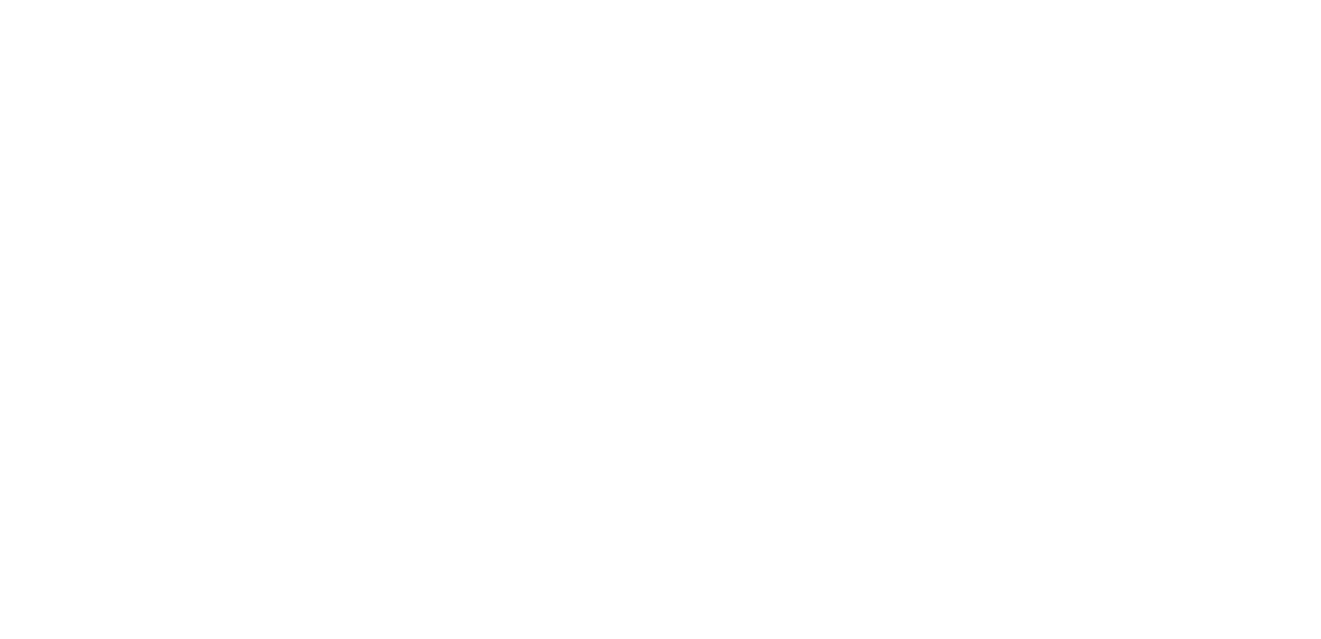 HS_Logo_2022_weiss.PNG
