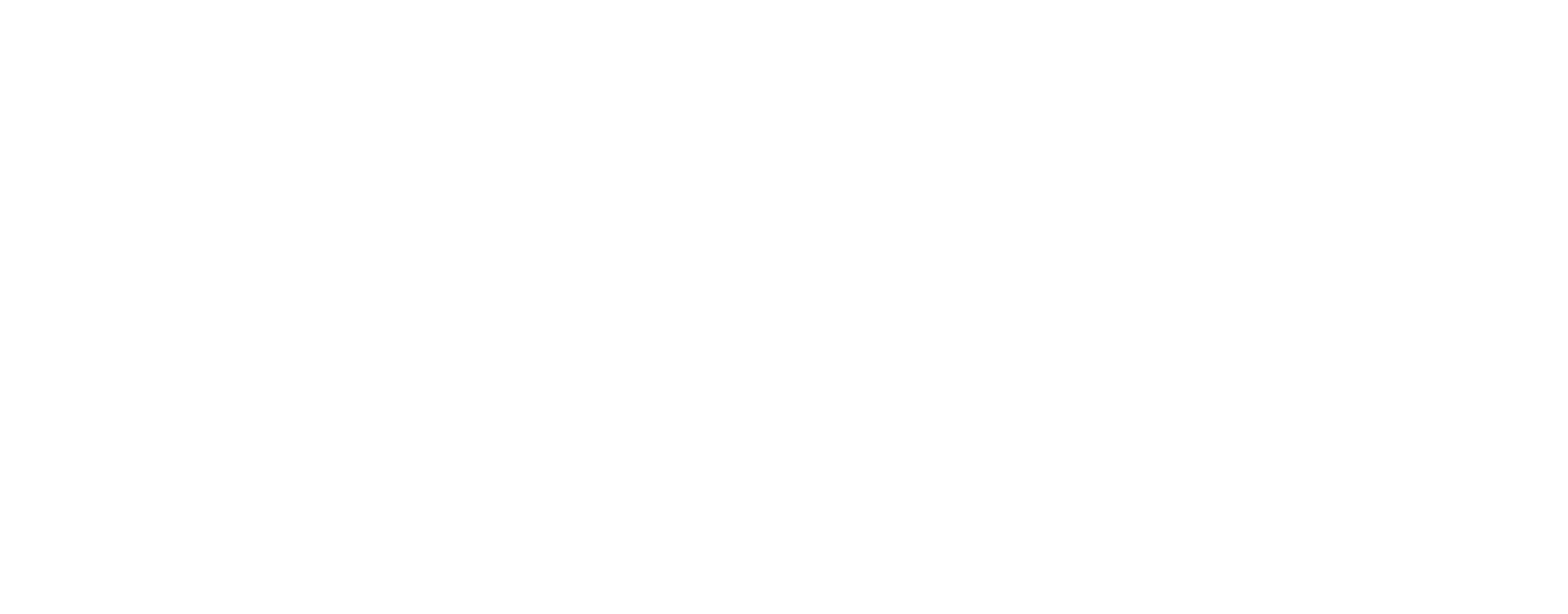 Service_Fabrik_w.png