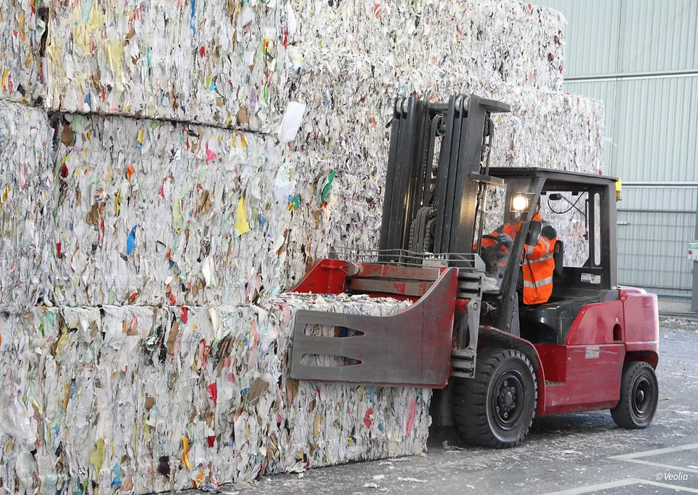 La gestion des déchets : un révélateur des dynamiques locales