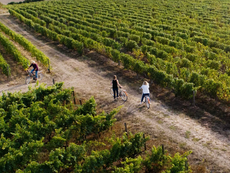 La Sarthe, tant de mondes à explorer !