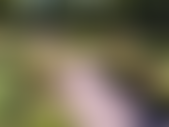 Label Villes et Villages Fleuris : les départements, acteurs du cadre de vie