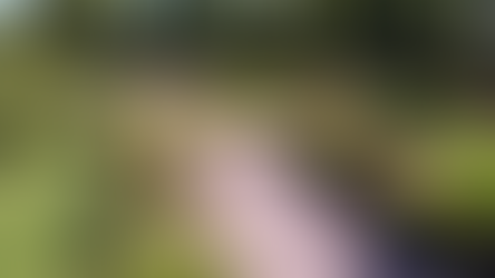 Label Villes et Villages Fleuris : les départements, acteurs du cadre de vie