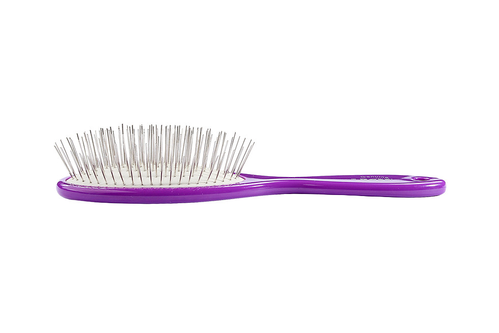 Thumbnail: Bass 58 Royal Purple  |  Large Oval Brush With Alloy Pins and Acrylic Handle