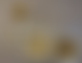 今晩のおかず