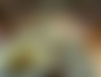 今晩のおかずチーム