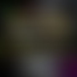 Best of 2025 at molly's bar