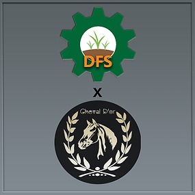 DFSxChevalDorLogoBackground - Cheval D’or.png