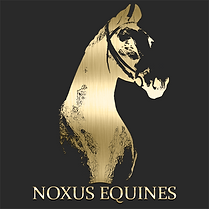NOXUS EQUINES Logo 1x1 gold w bg - Aviaya Nox.png