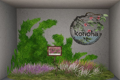 DAPS2024_Vendors_Konoha.jpg