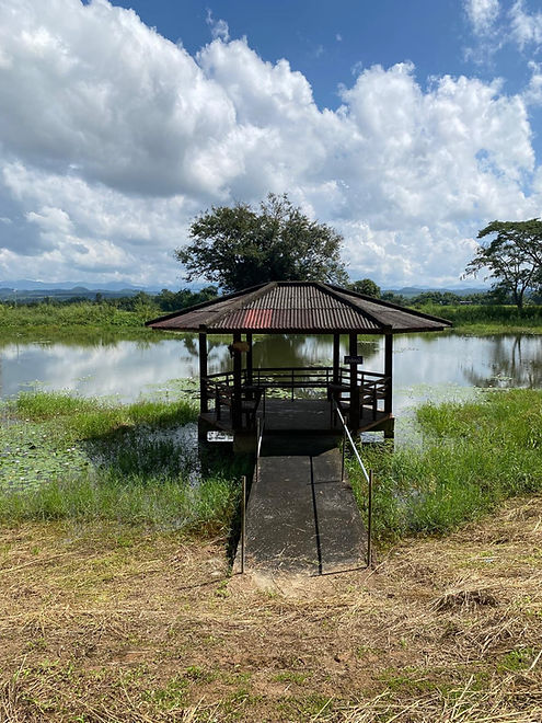 WhatsApp Image 2025-12-12 at 07.39.32_39a3c37b.jpg