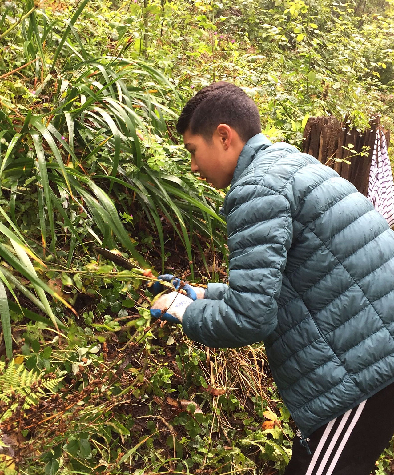 Helping Our Native Plants