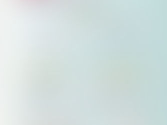 synthèse les facteurs de risques