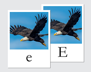 letter_name_cards_mockup_3.png