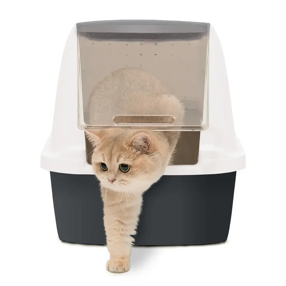 Miniatura: Arenero Catit Medium