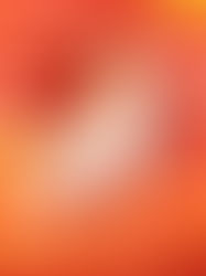 Feng Shui 2026 : guide complet de l'année du Cheval de Feu