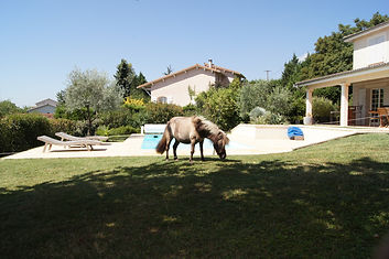 DSC04423.JPG