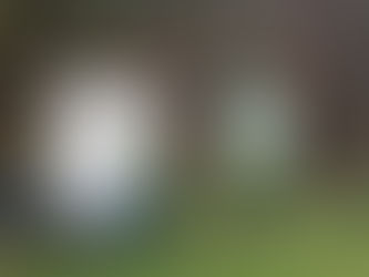 Wintertime beekeeping 