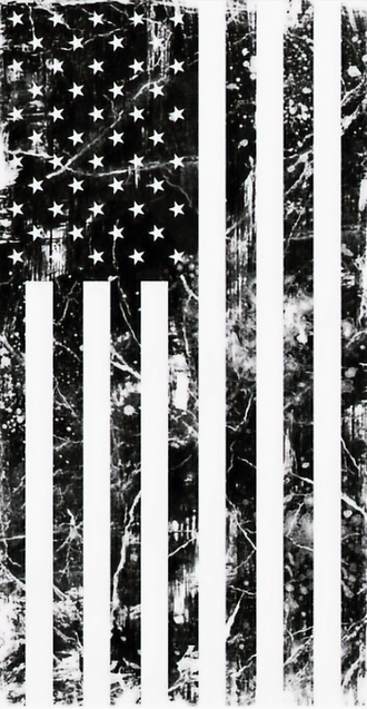 american flag_edited_edited_edited.png