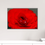 Thumbnail: Red Begonia Flower
