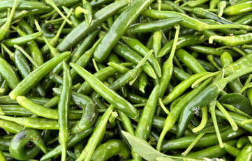 Green Bird’s Eye Chili is an under-ripe chili. They come in a variety of colors which represent different levels of ripeness. It can be eaten in all different stages of maturity, and it may taste different depending on its ripeness. Fully green means that the chili is unripe, giving a slightly bitter, grassier taste and a sharper, snappier, more biting heat.⁠