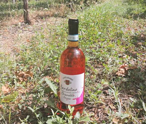 wijnreizen naar Italie