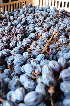 Amarone Reis
