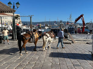 Hydra, the magic begins at sea