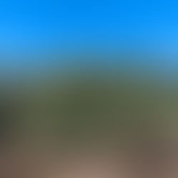 Olive oil from Methoni