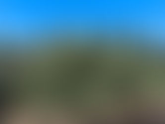 Olive oil from Methoni