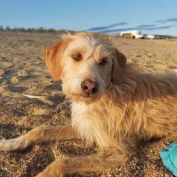 Vakantie in Griekenland