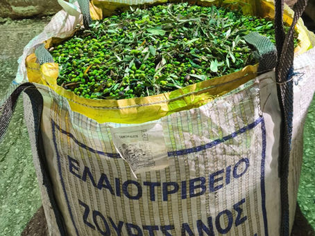 Authentiic Greece, Olive Oil